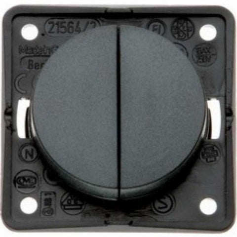 Berker Double 12V Switch