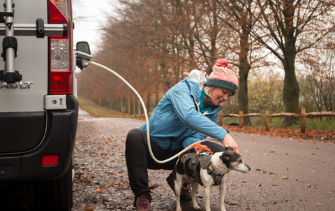 Bullfinch External Shower Point