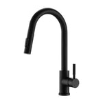Black Pull Out Kitchen Sink Mixer Tap