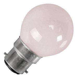 W4 22D Bulb 24W 12V