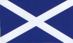 W4 SCOTLAND FLAG MEDIUM RECTANGULAR STICKER