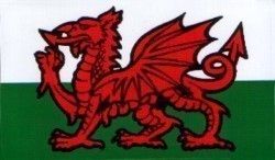 W4 WELSH DRAGON MEDIUM RECTANGULAR STICKER