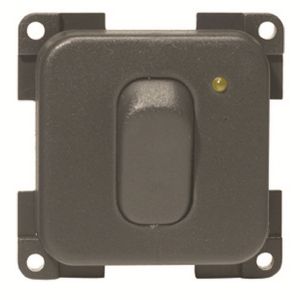 Cbe 12 Switch With Led Grey
