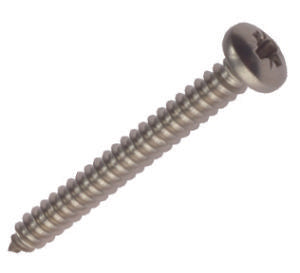 W4 No 8 SCREW 1" S/STEEL (5)