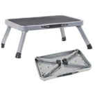 FOLDABLE SINGLE STEP COMPACT GREY