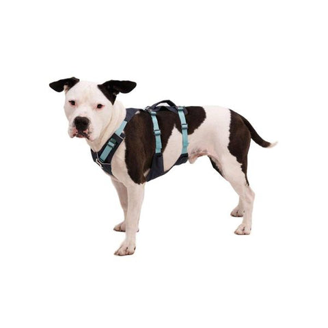 Ruffwear Flagline Dog Harness with Handle in Basalt Grey (L / XL)