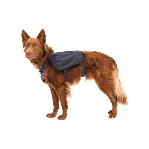 Ruffwear Front Range Dog Day Pack in Basalt Grey (L / XL)
