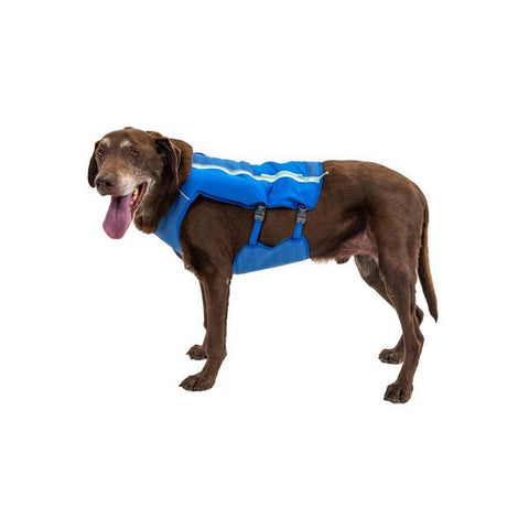 Ruffwear Trail Runner Dog Running Vest in Blue Pool (L / XL)