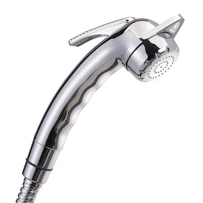 Reich Charisma Adjustable Shower Head