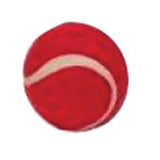 Cricket Set (Size 5)