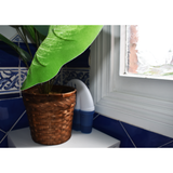 Kontrol Aqua Trap Scent Free (Order In Multiples Of 12)