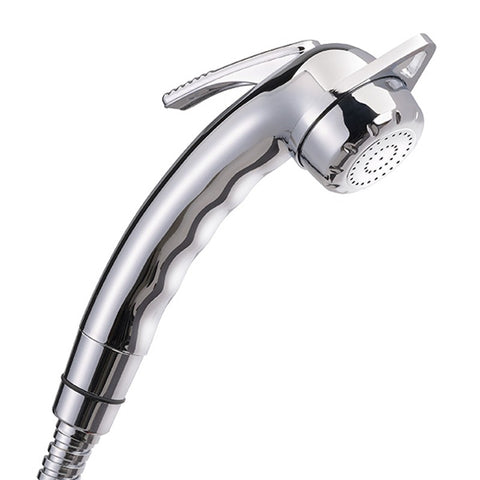 Charisma shower head