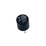 Whale Space  Water Heater PCB Antisurge 2A Fuse