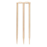 Cricket Set (Size 5)