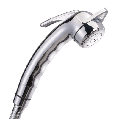 Reich Charisma lever shower head in chrome