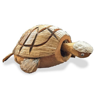 Coconut Nodding Turtle