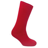 Ladies Thermal Insulated Socks (Assorted Colours)