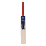 Cricket Set (Size 5)