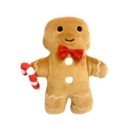Ginger Fred